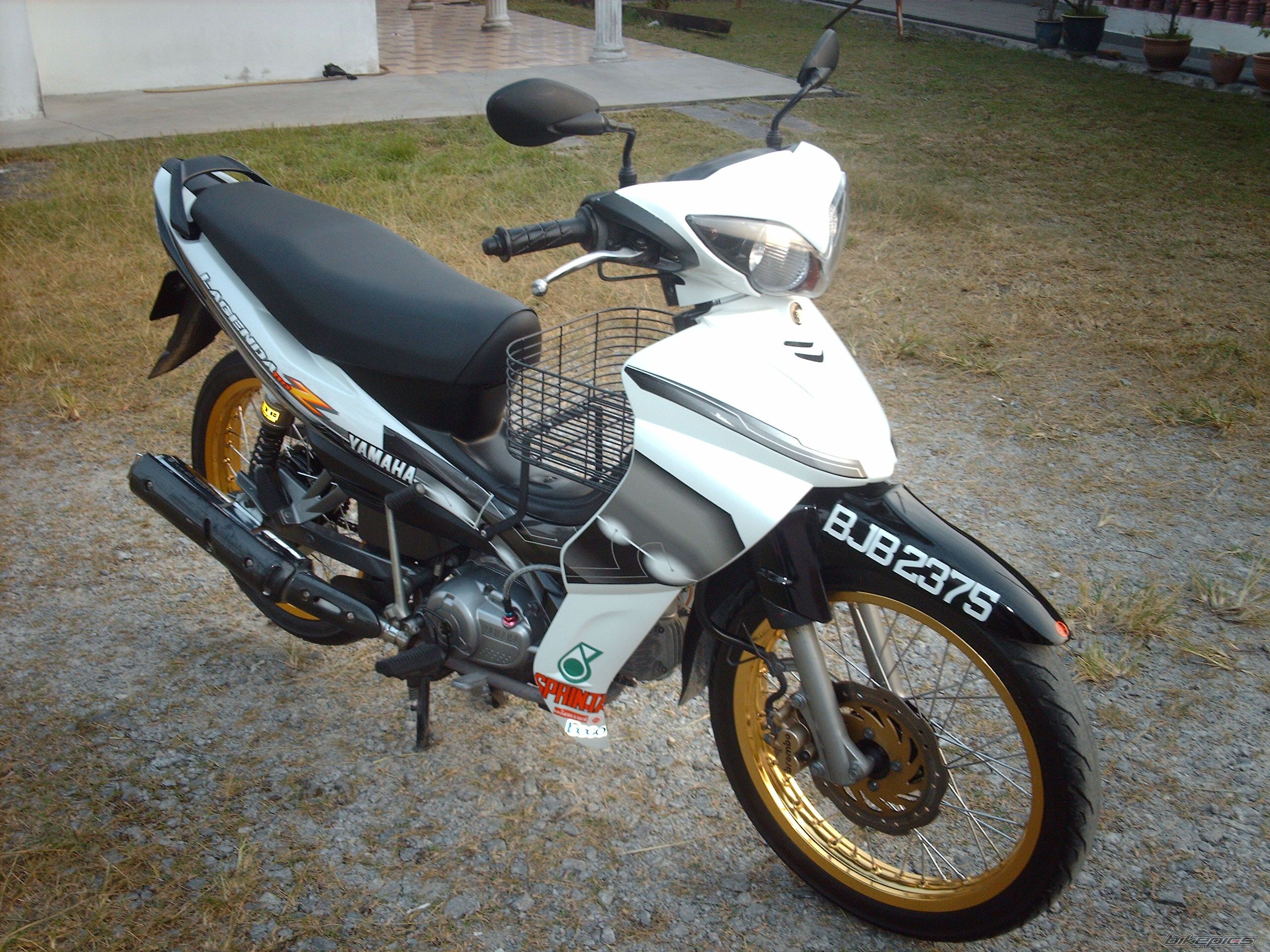 Photo 1293489