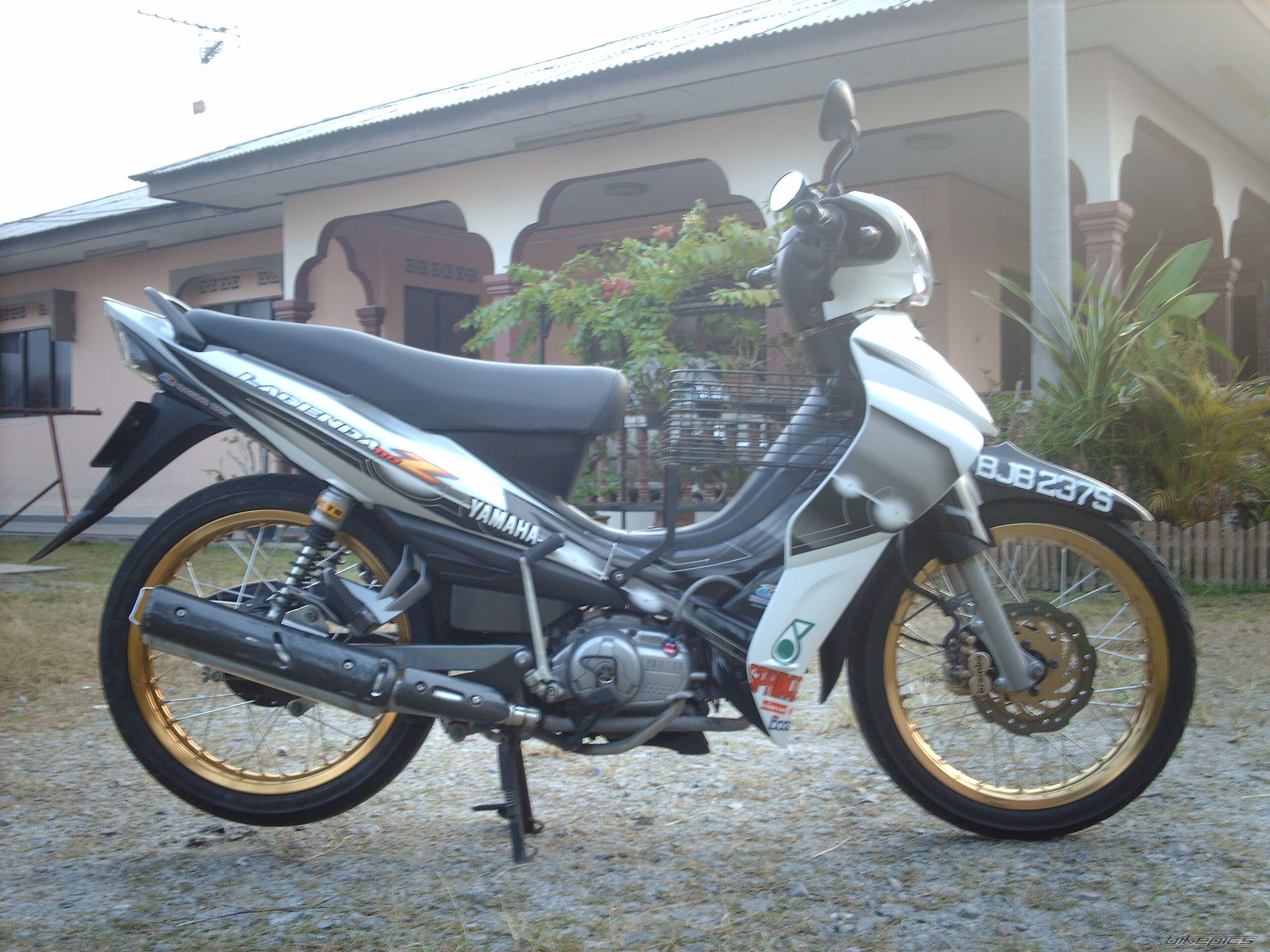 Photo 1293498