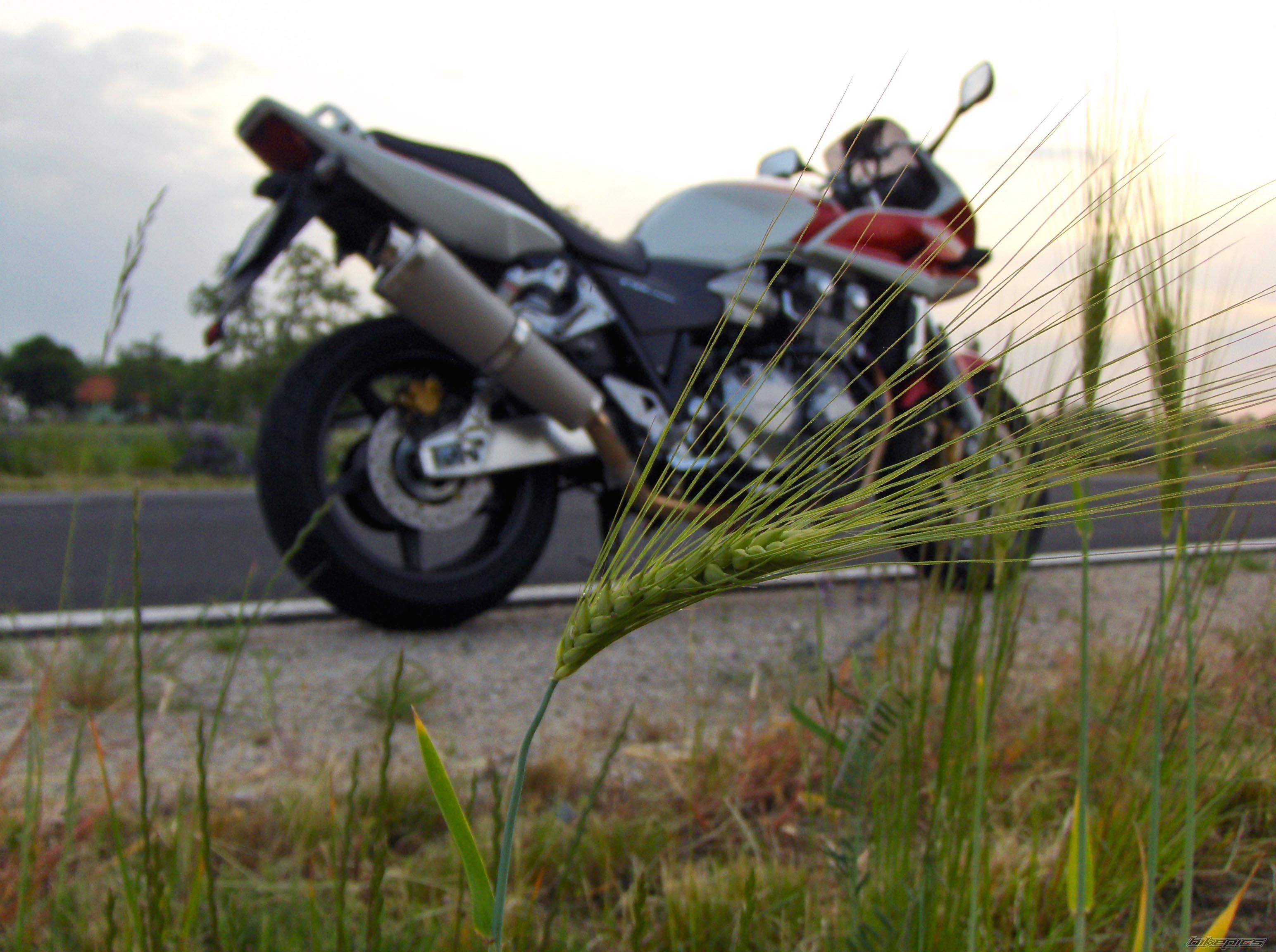 Bike Photo 1293518