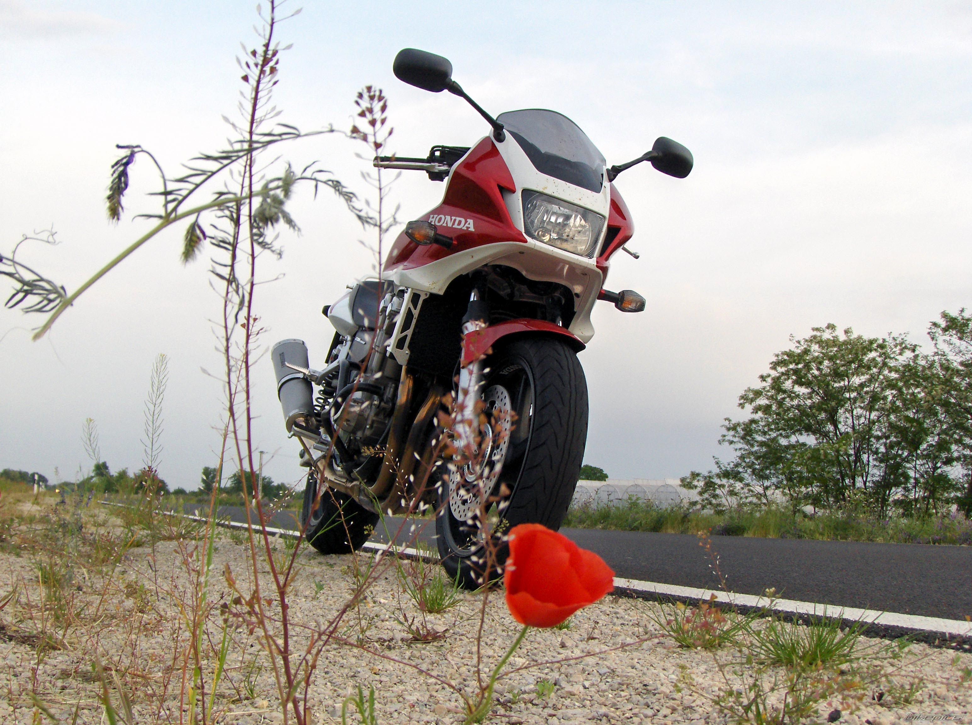 Bike Photo 1293520