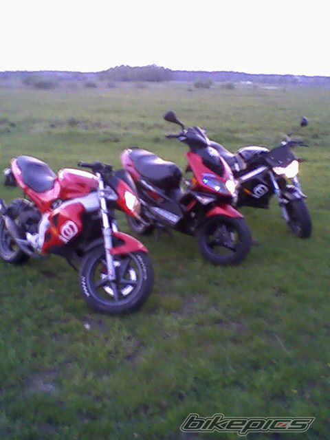 Photo 1293530