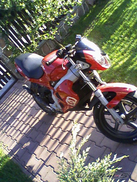 Photo 1293538