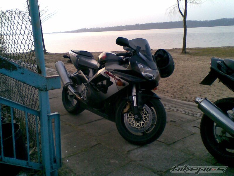 Photo 1293562