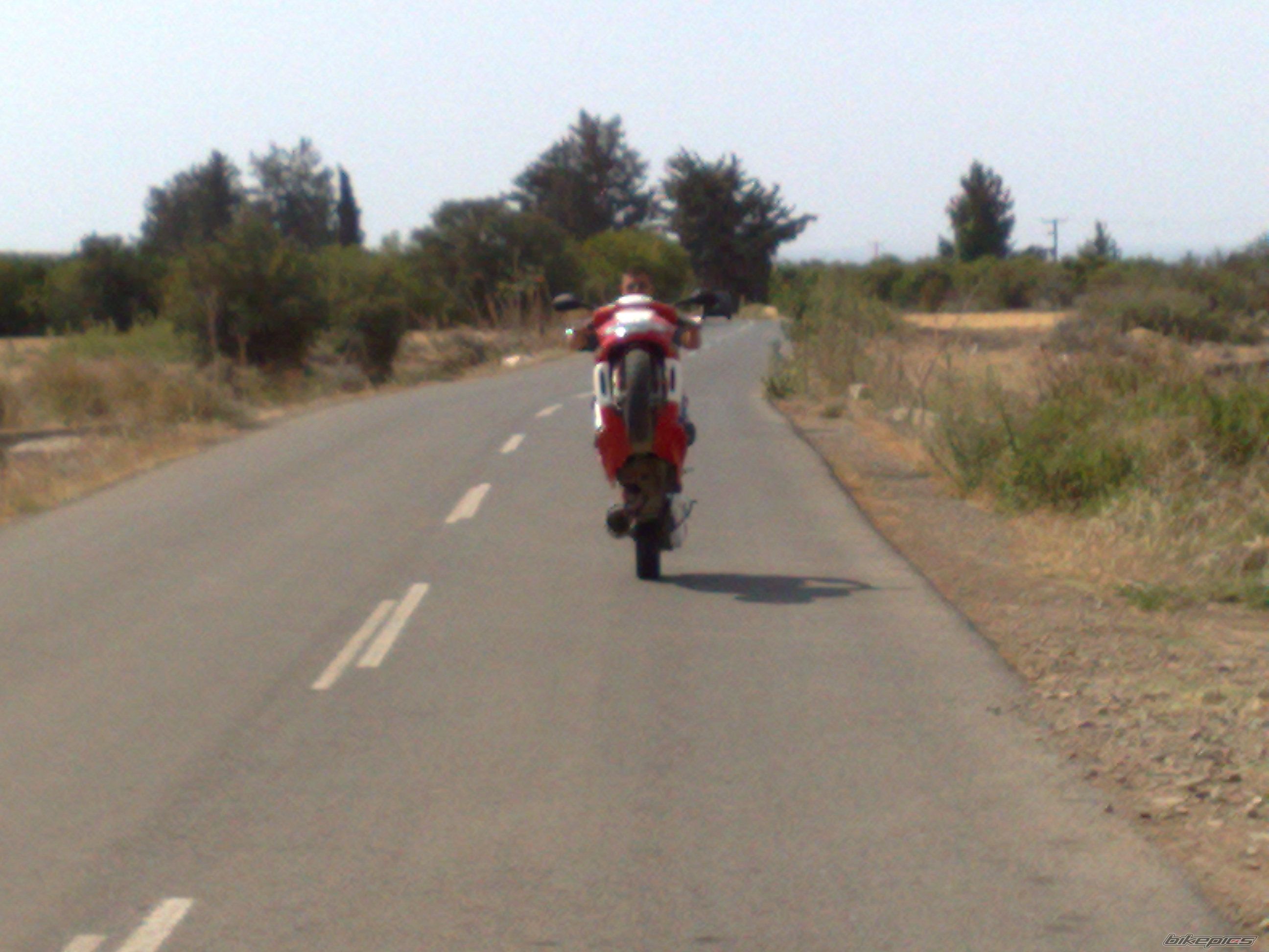 Photo 1293579