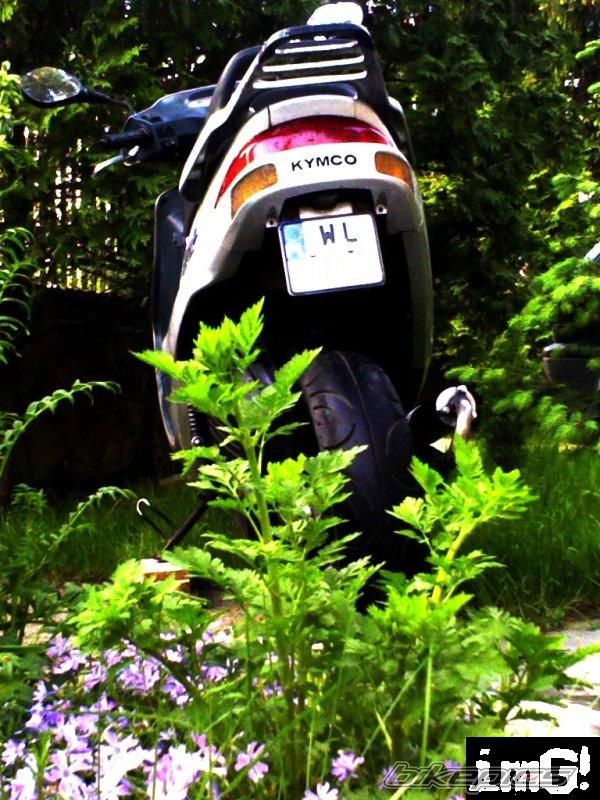 Bike Photo 1293663