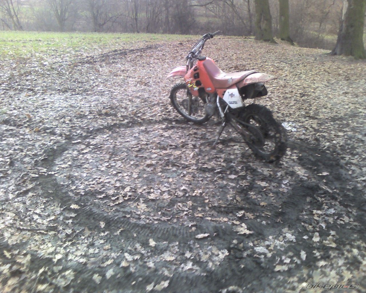 Bike Photo 1293669