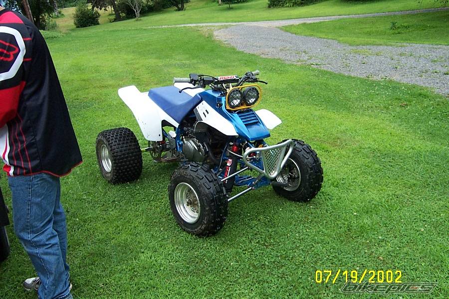 Photo 129371