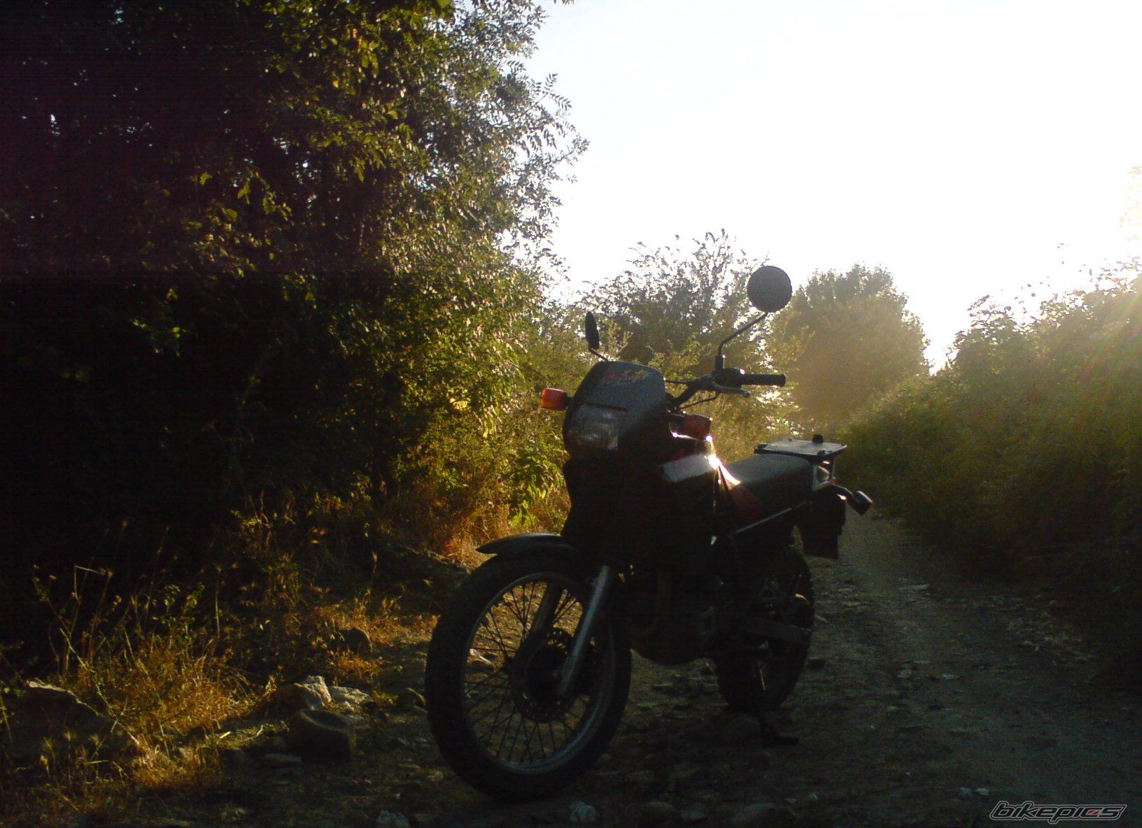 Photo 1293723