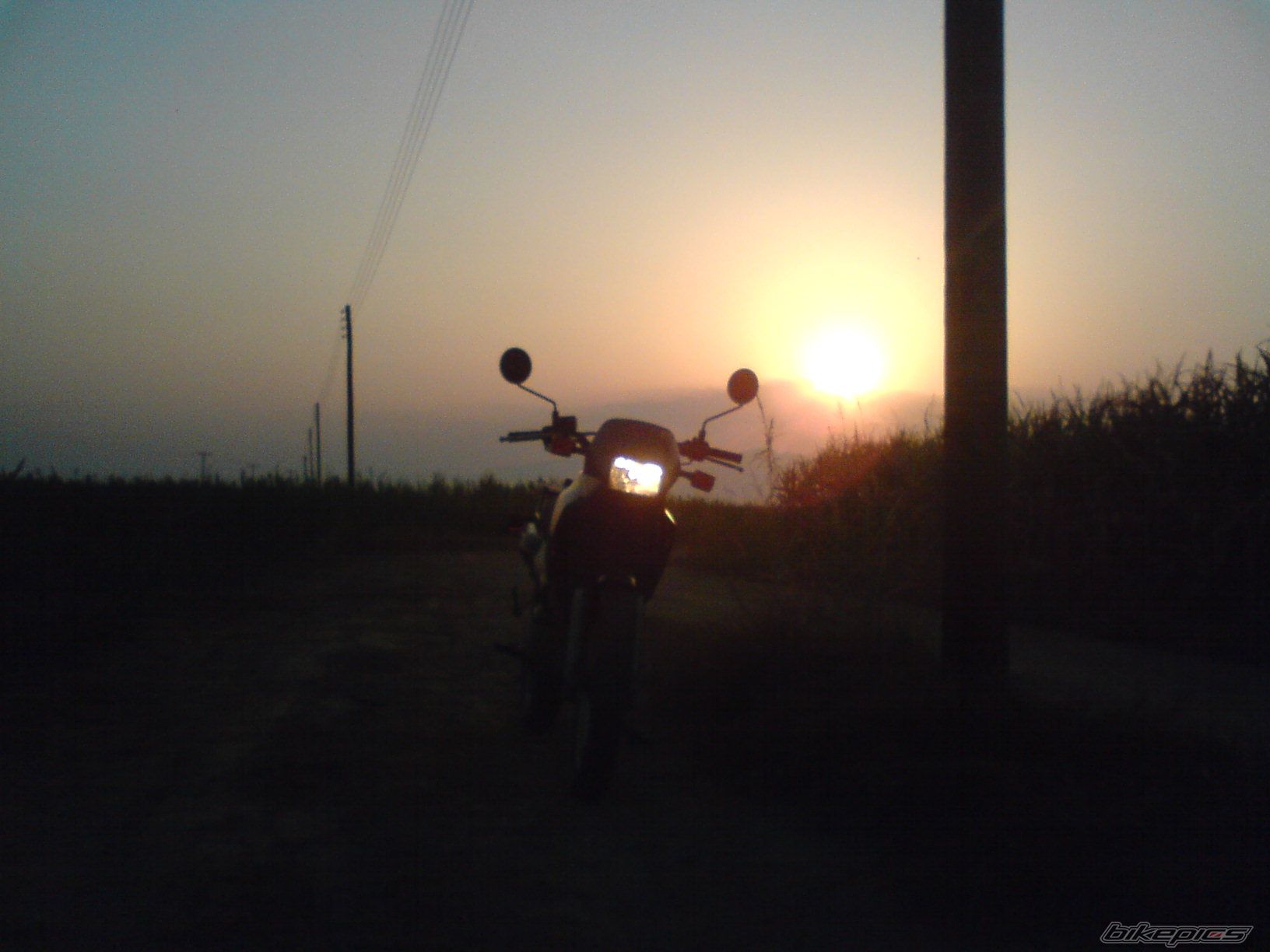 Photo 1293726