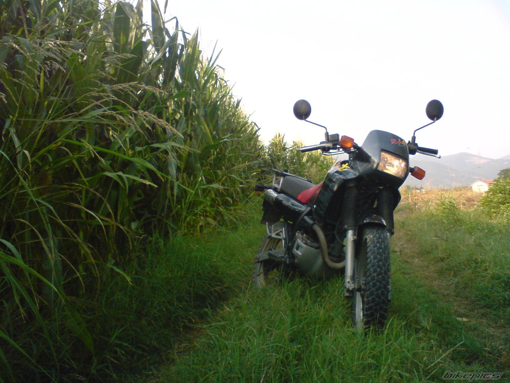 Photo 1293729