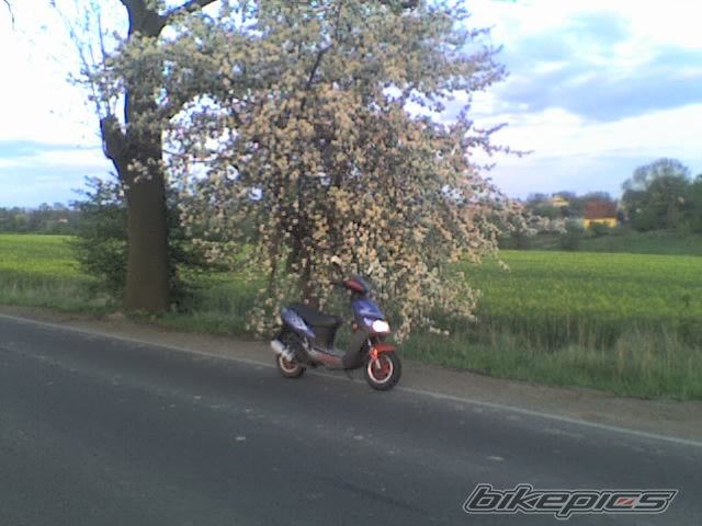 Bike Photo 1293793