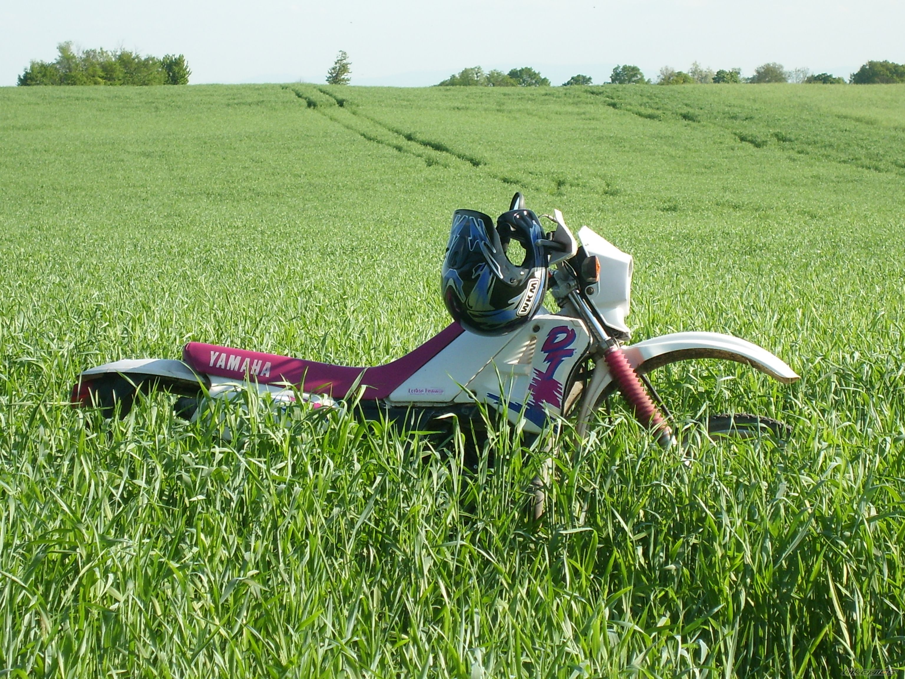Bike Photo 1293810