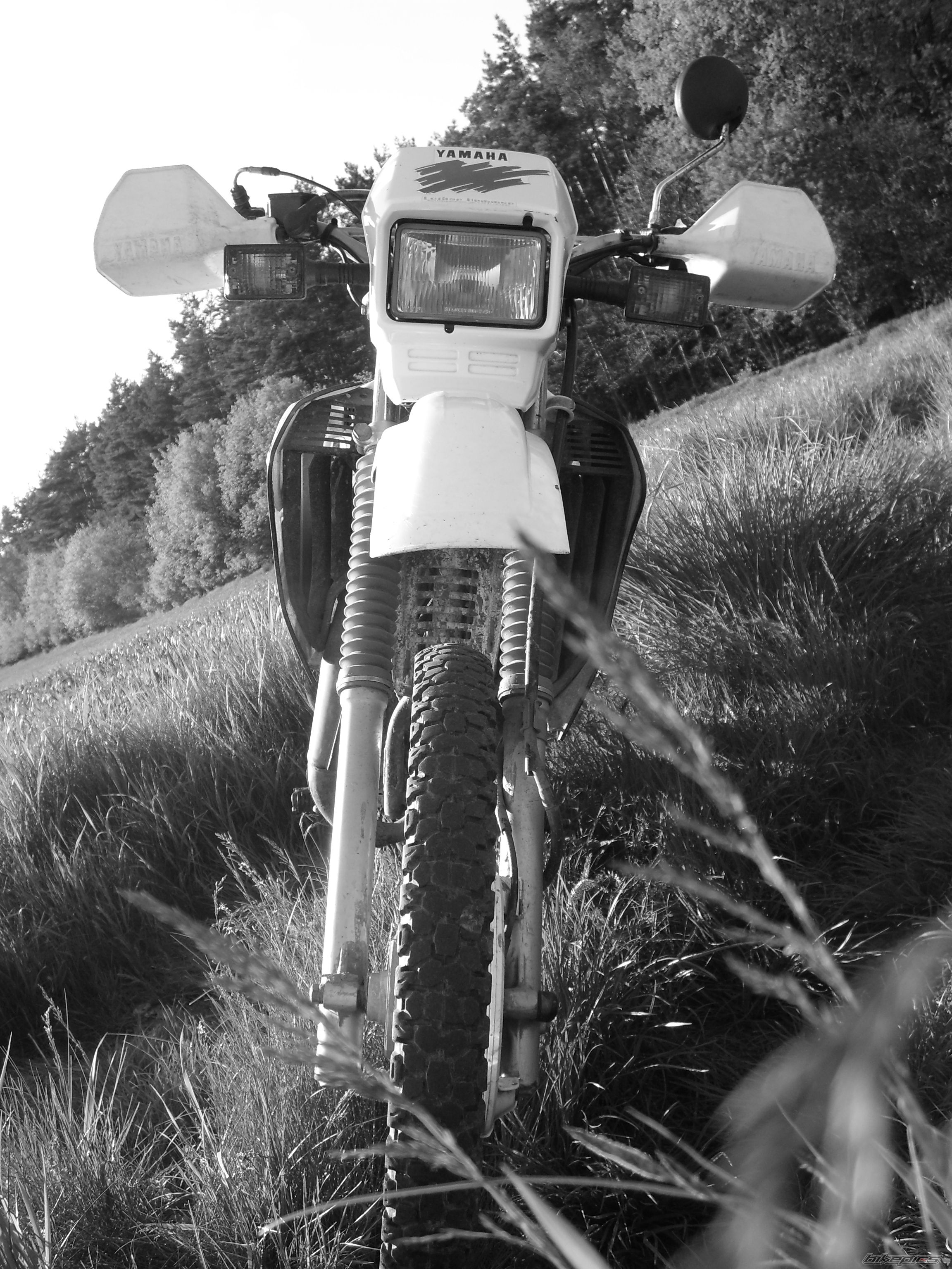 Bike Photo 1293815