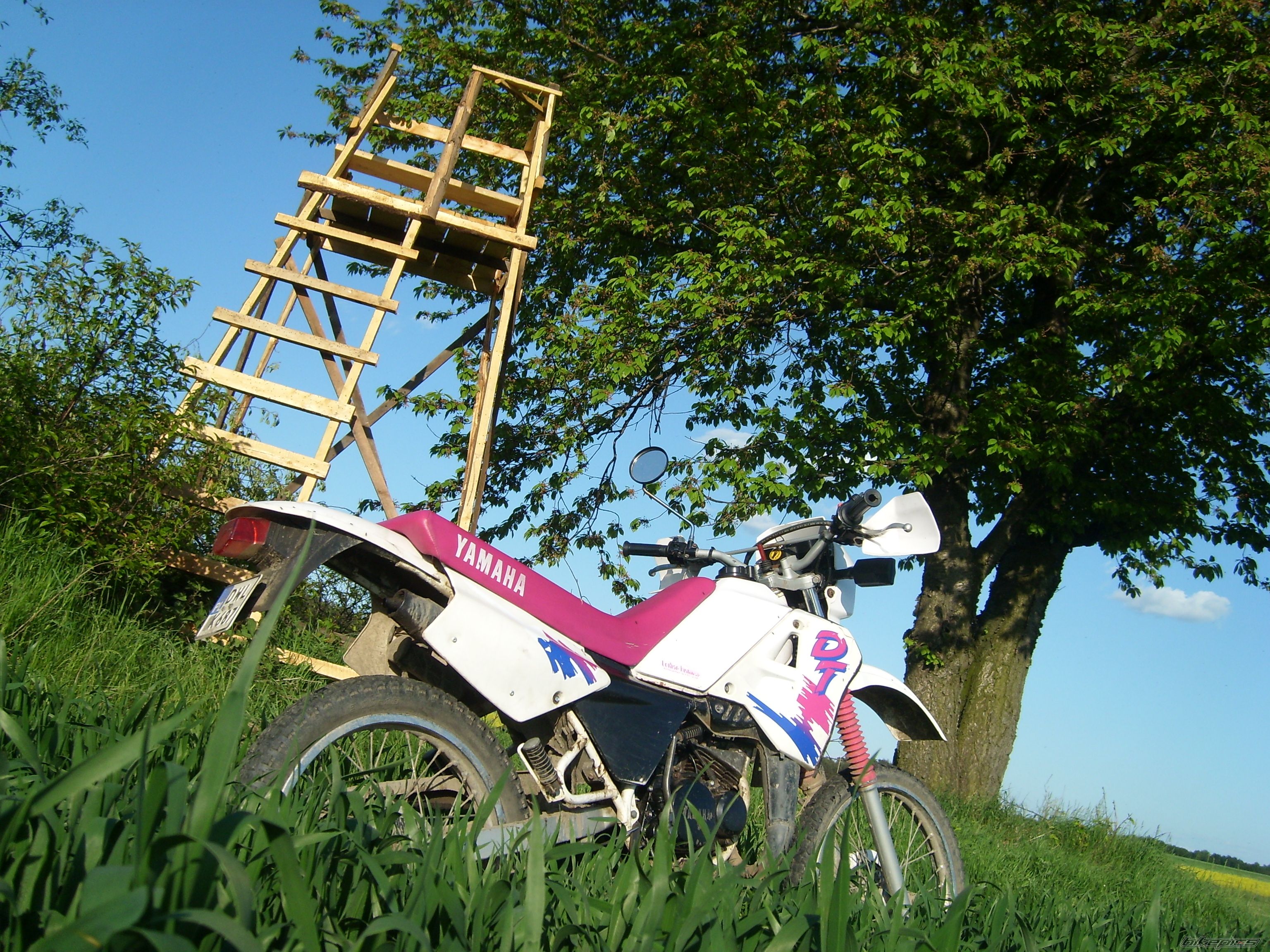 Bike Photo 1293819