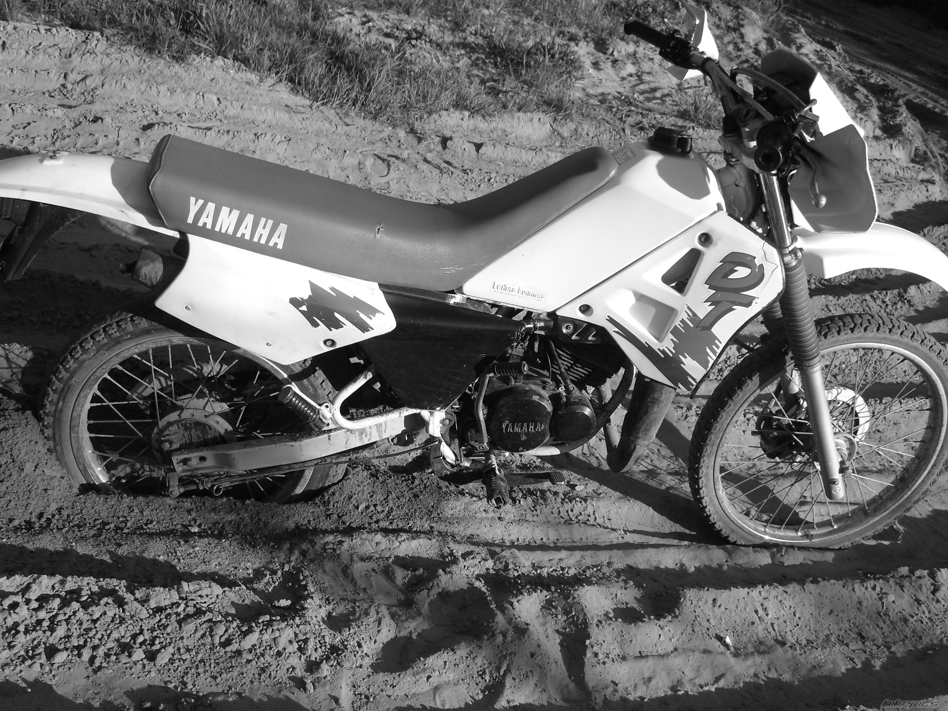Bike Photo 1293825