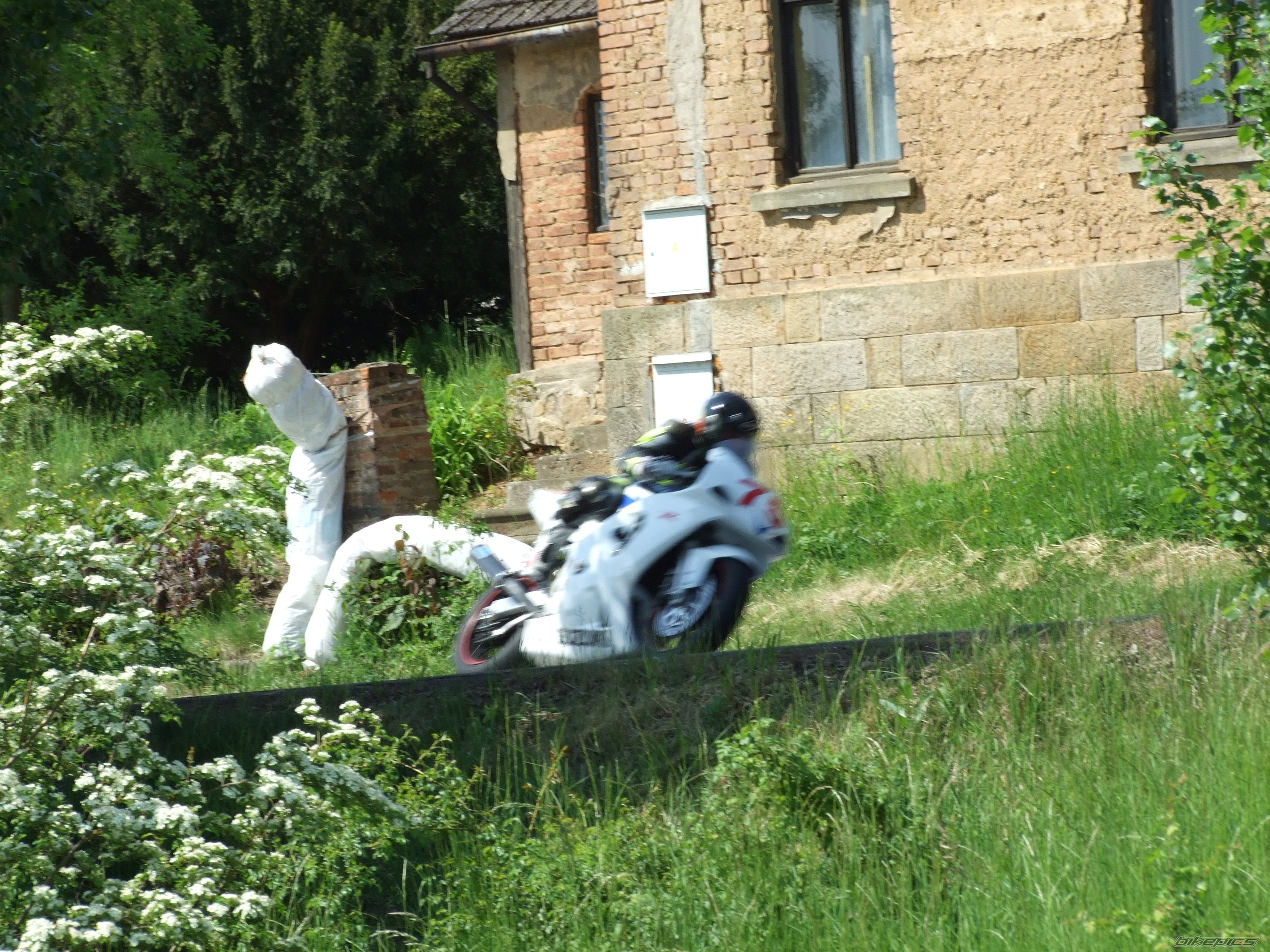 Photo 1293842