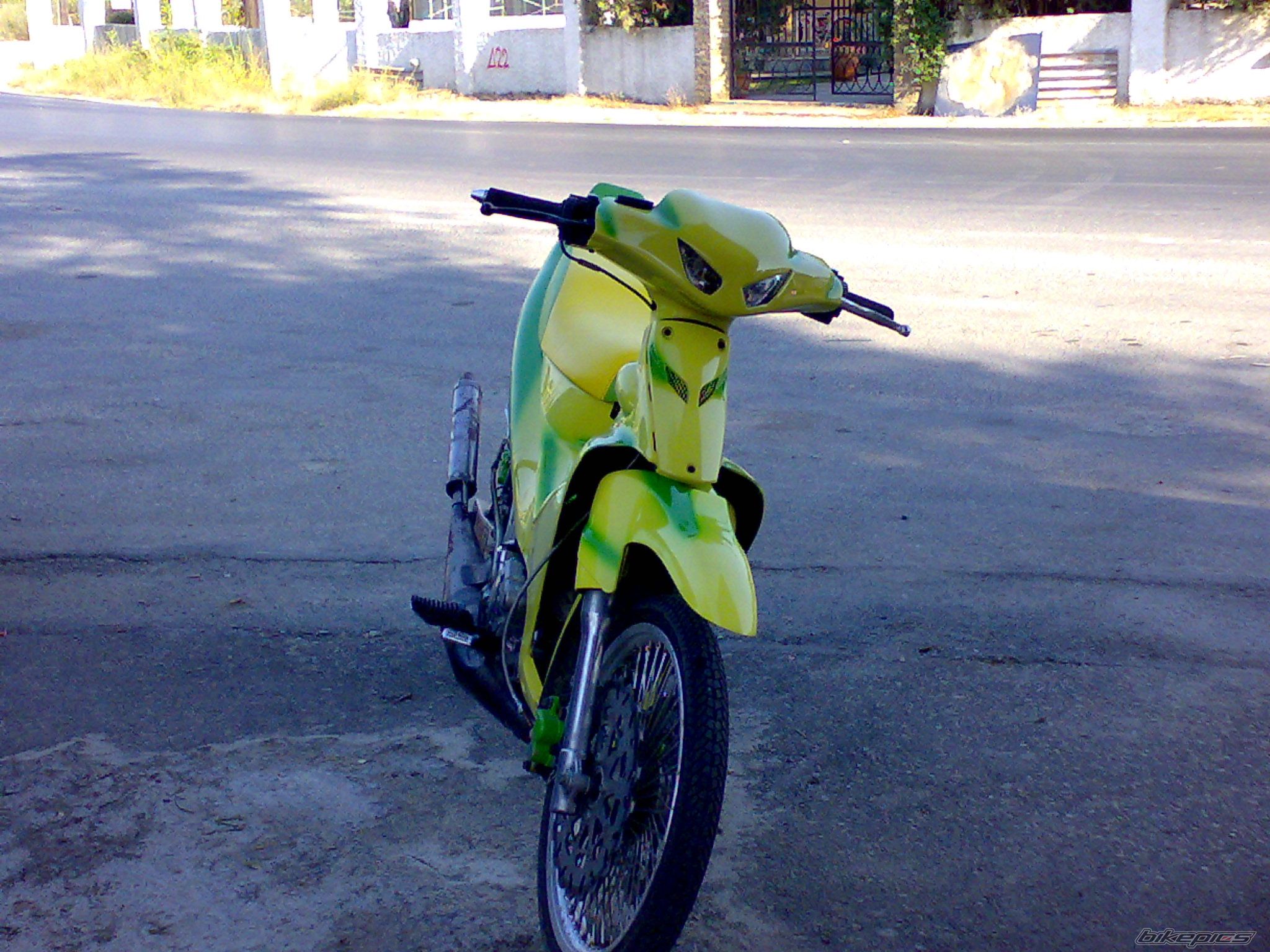 Photo 1293880