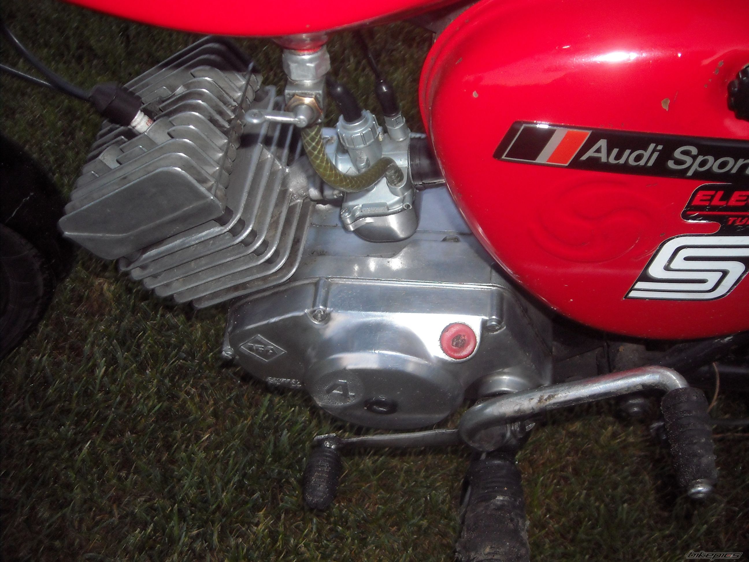 Photo 1293913