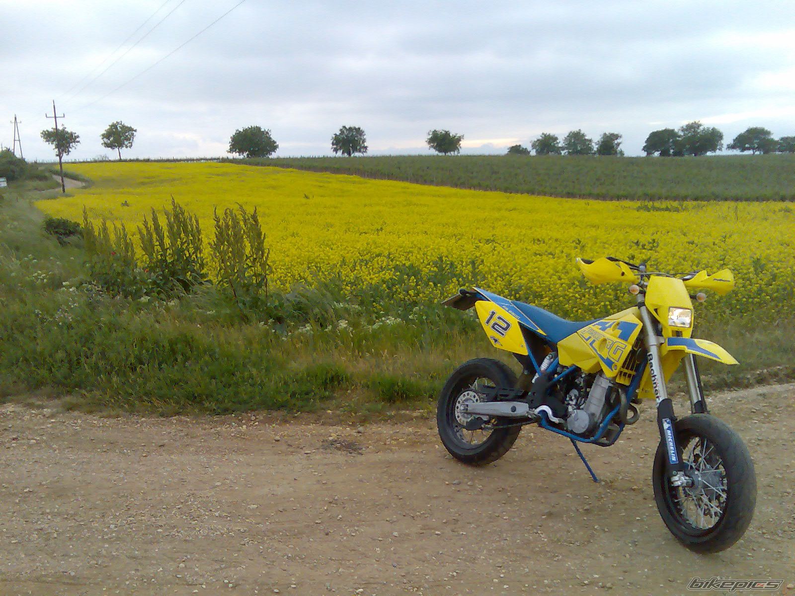 Photo 1293919