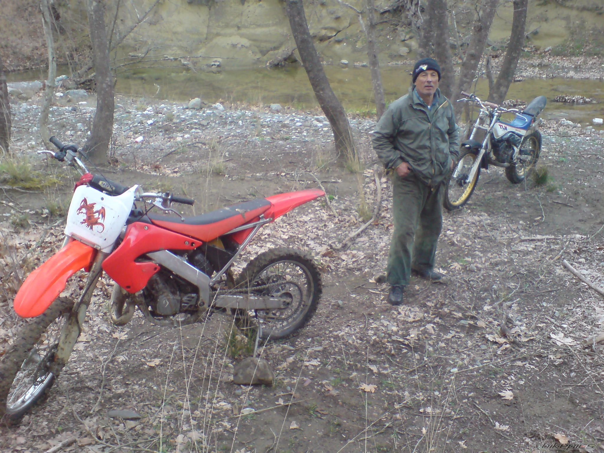 Photo 1293930