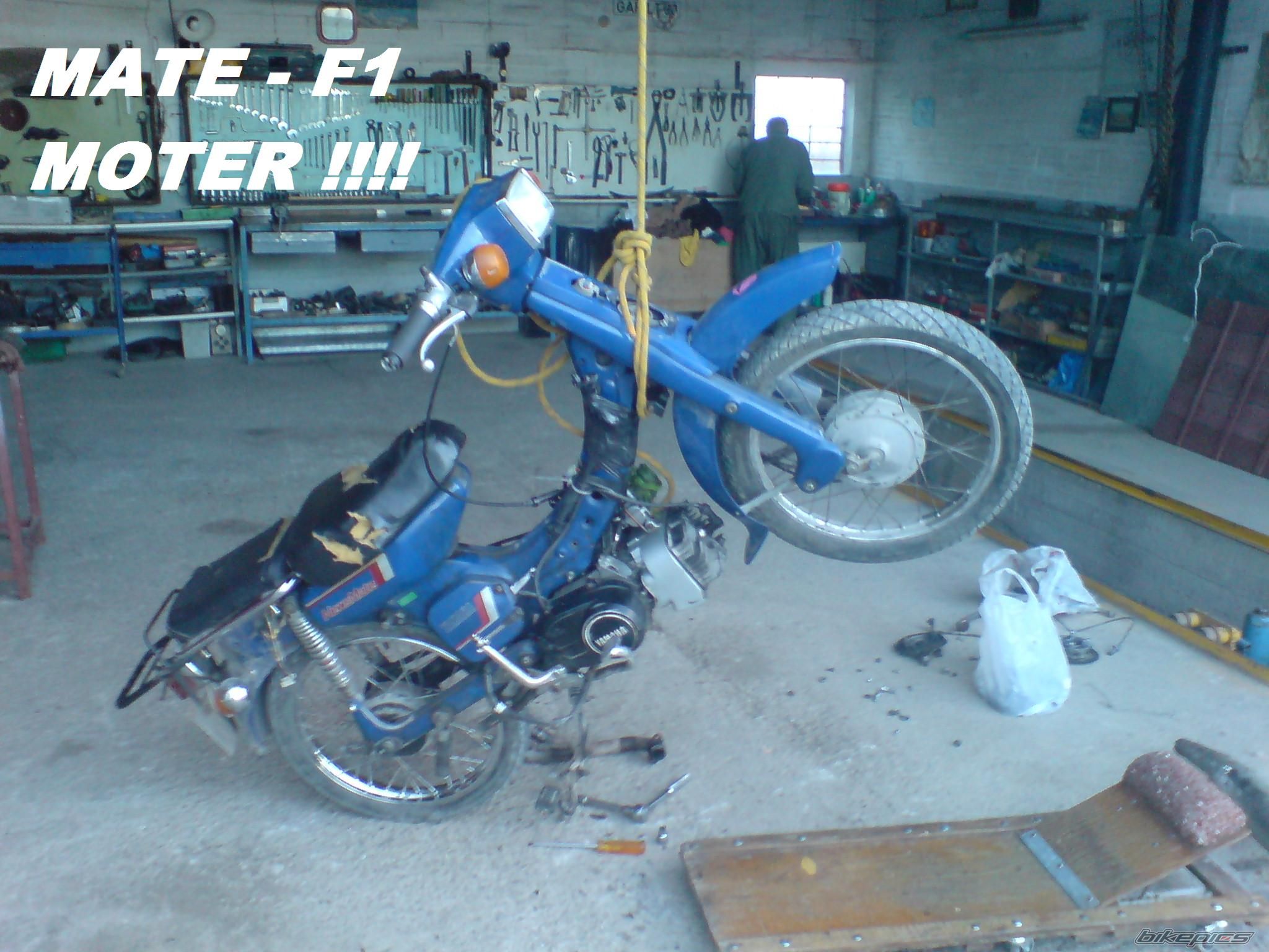 Photo 1293960