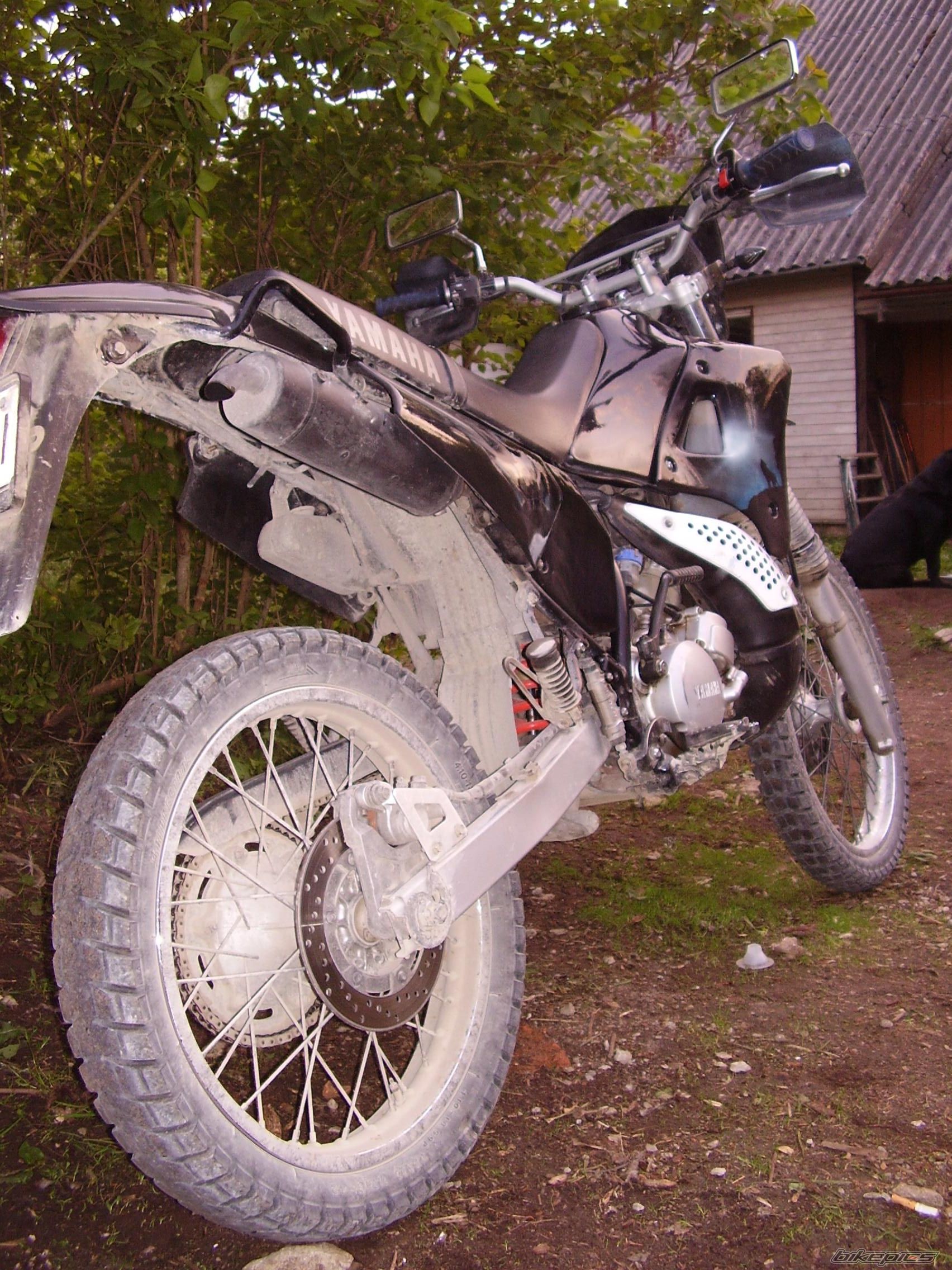 Photo 1293984