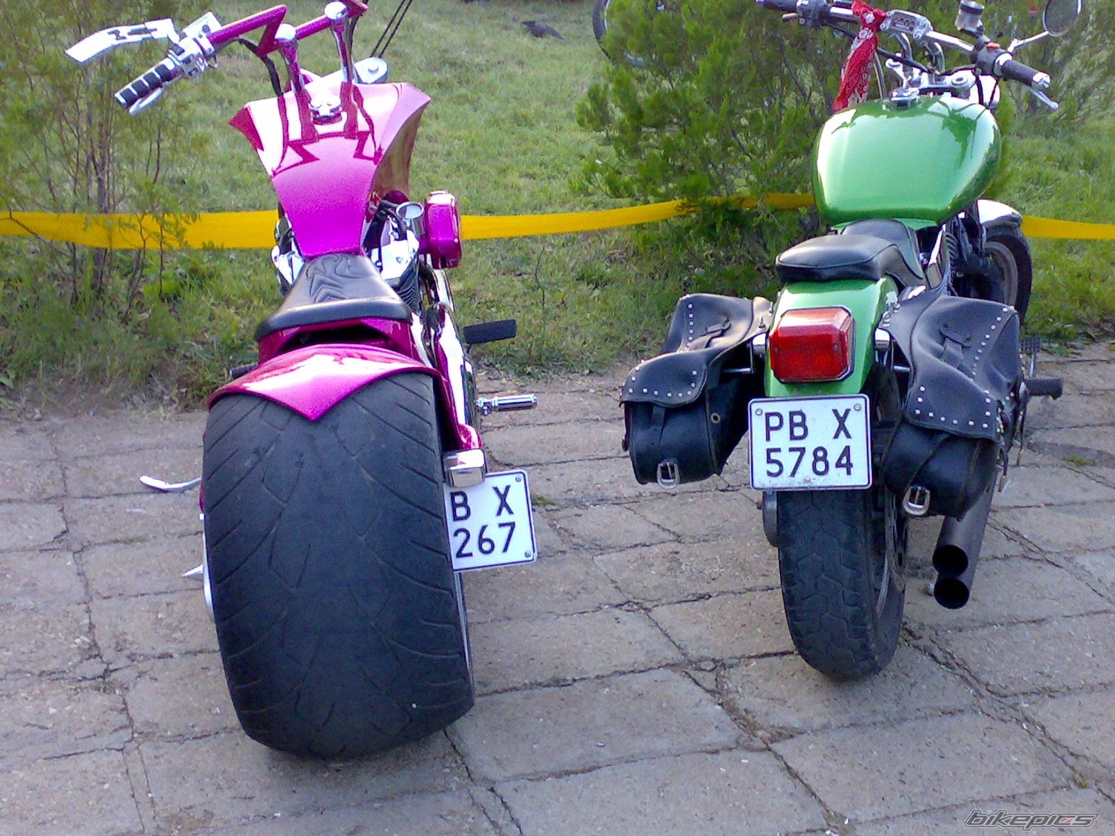 Photo 1294015