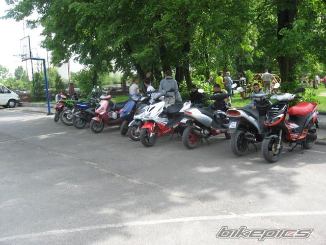 Photo 1294023