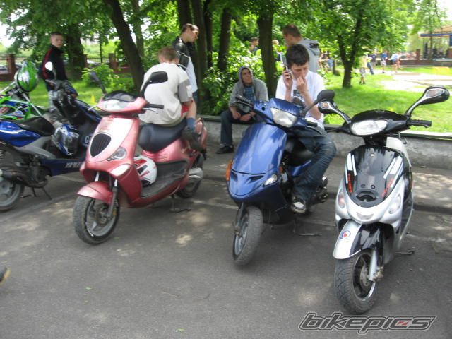 Photo 1294035