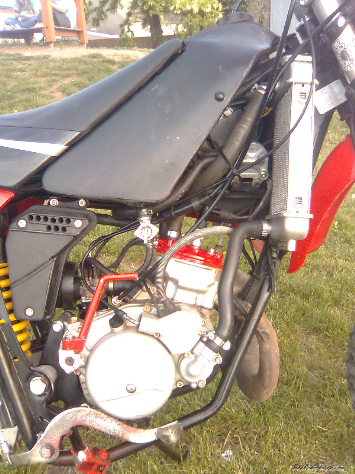 Photo 1294038