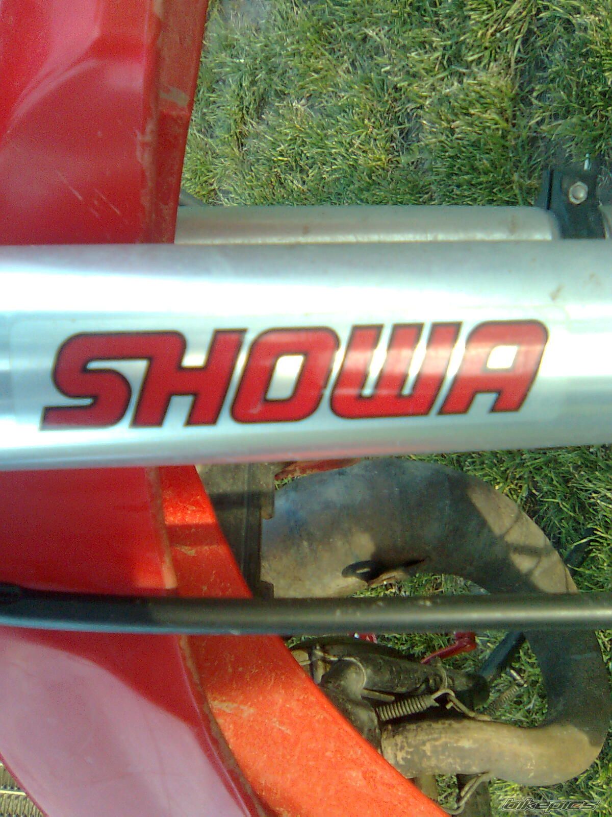Photo 1294047