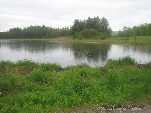Photo 1294165