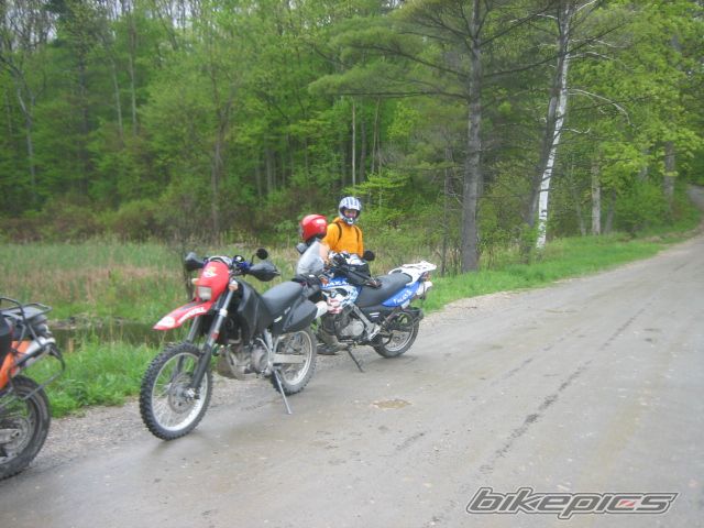 Photo 1294167