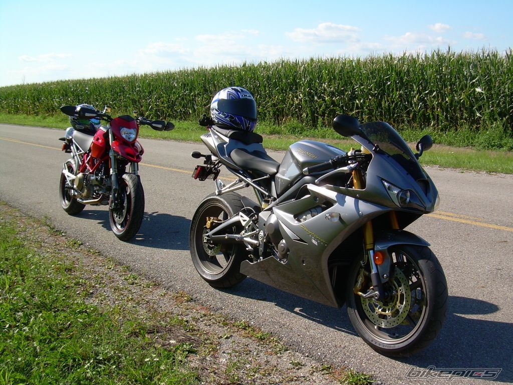 Photo 1294173