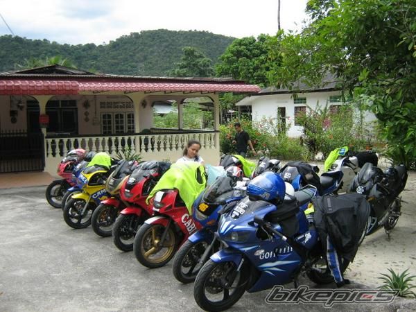 Photo 1294199
