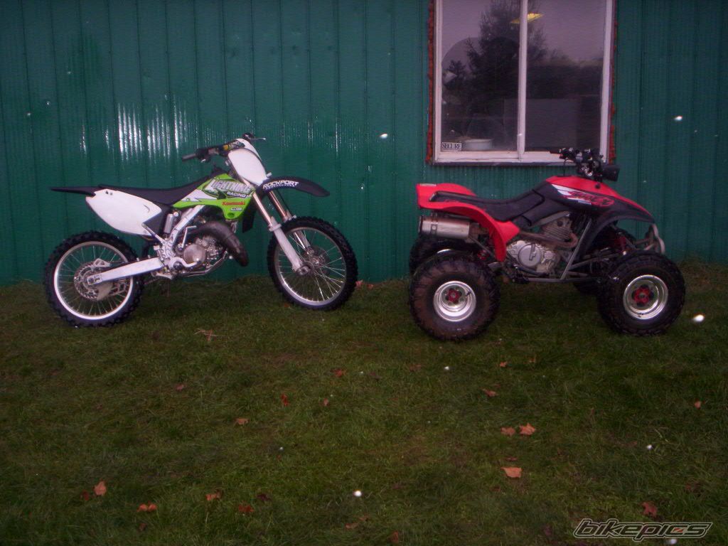 Photo 1294207