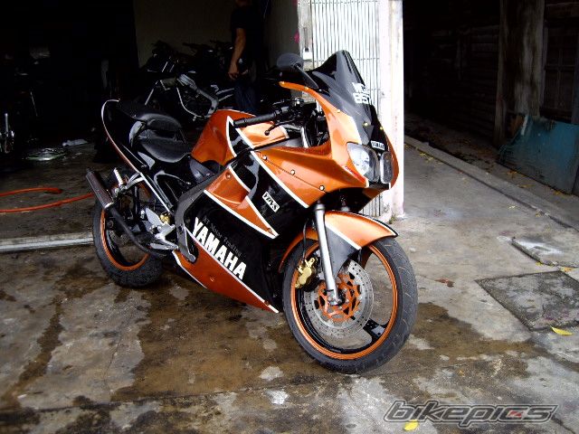 Photo 1294216