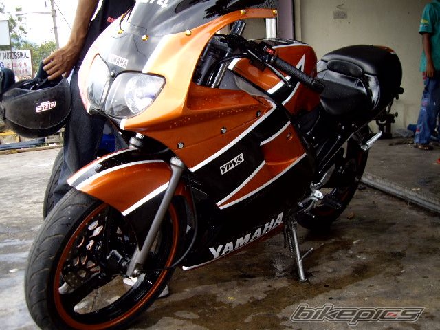Photo 1294218