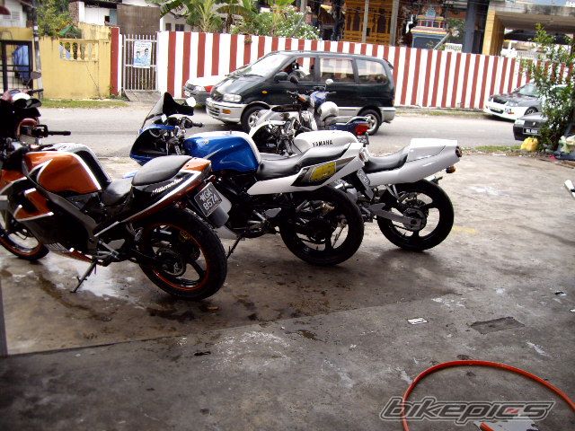Photo 1294220