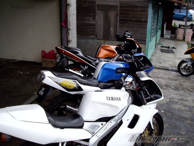 Photo 1294221