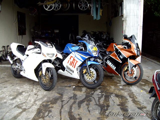 Photo 1294222