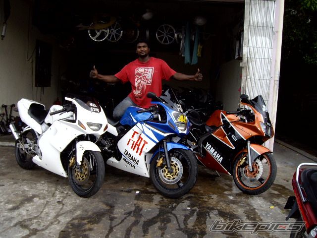Photo 1294223