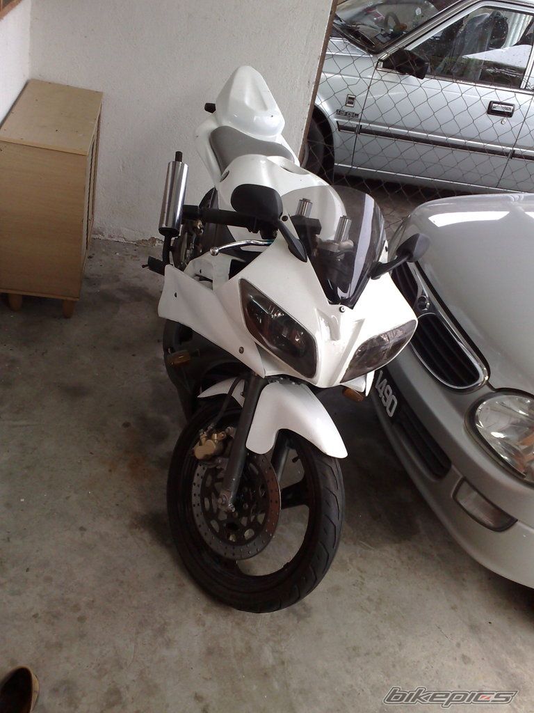Photo 1294242