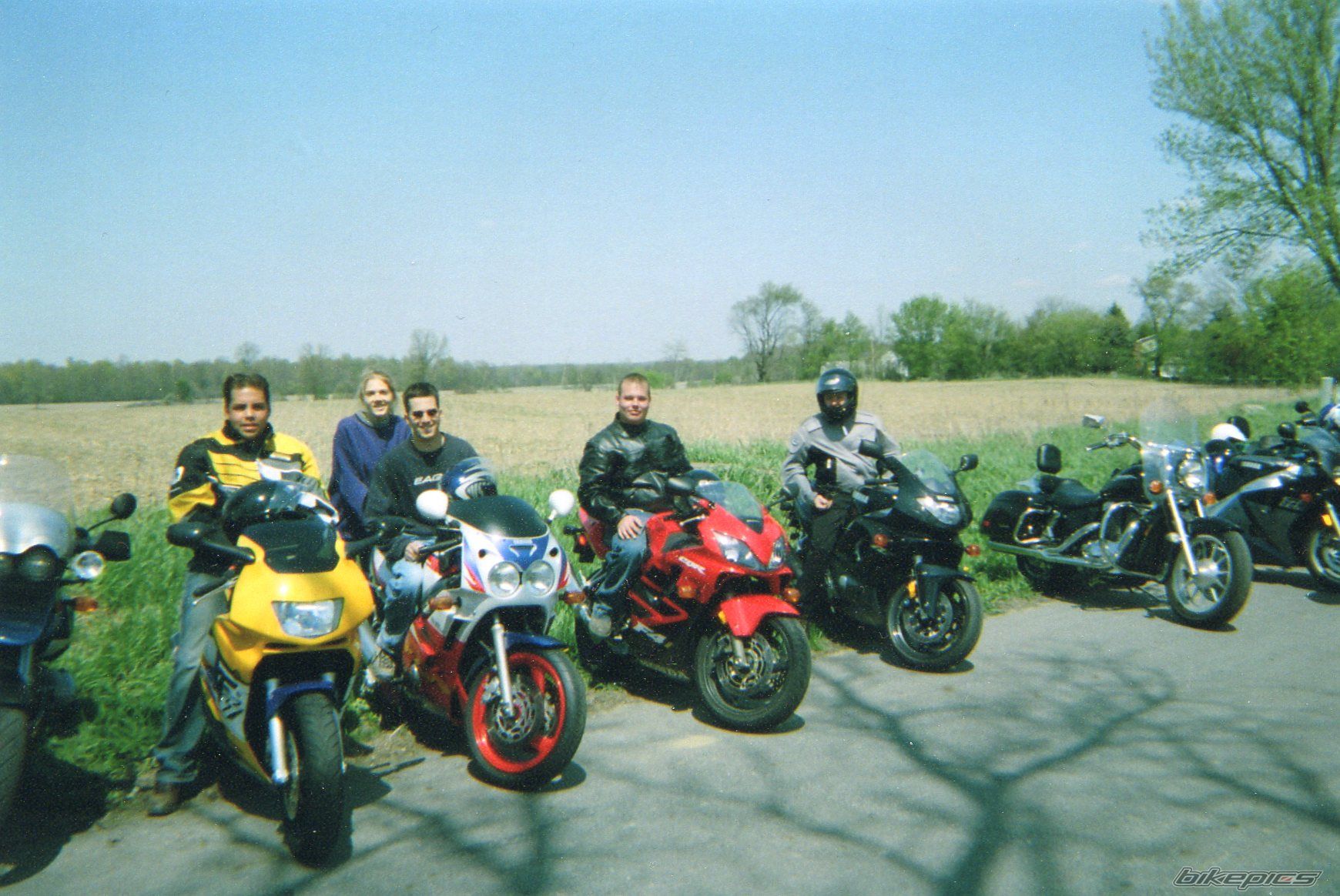 Photo 1294243