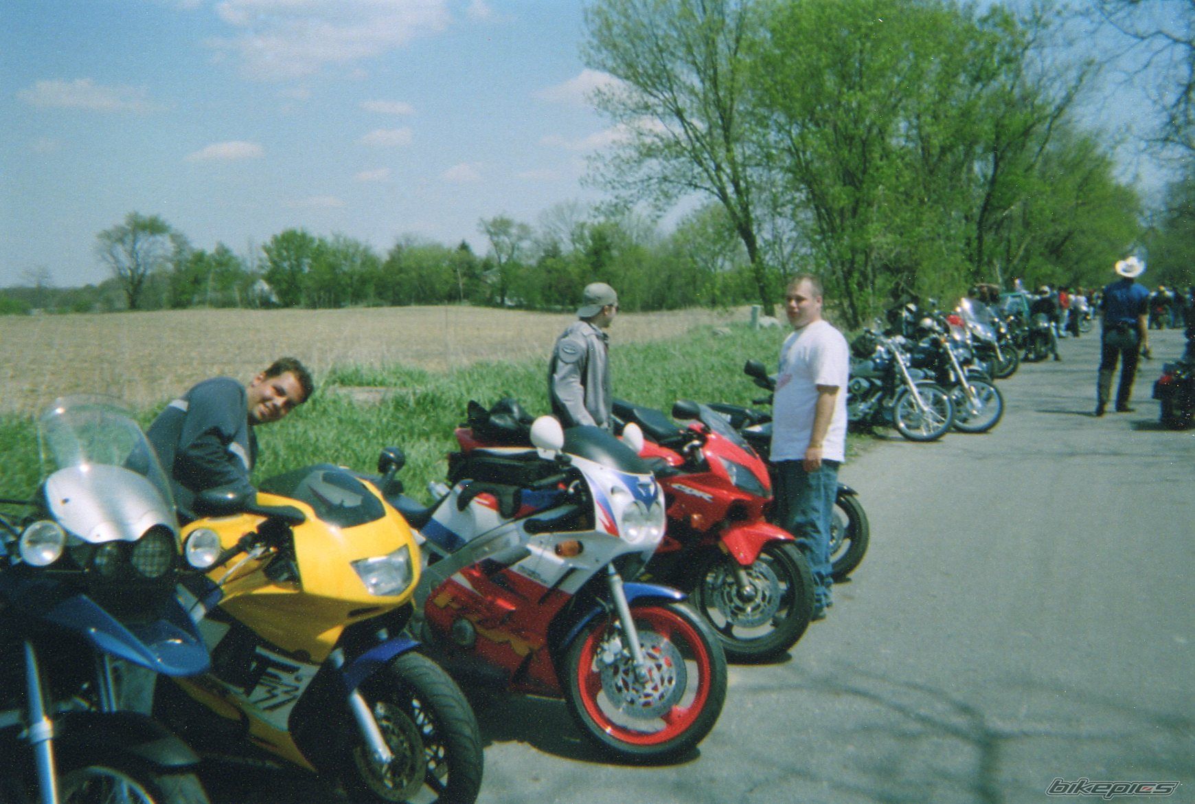 Photo 1294249