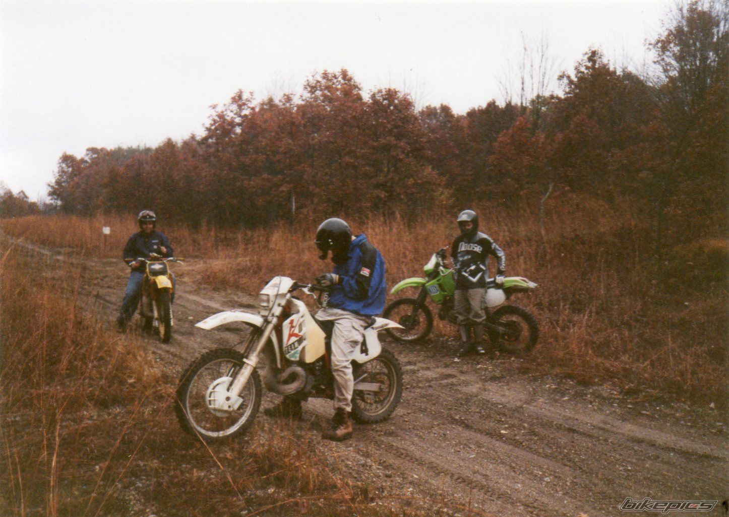 Photo 1294261