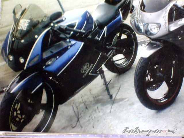 Photo 1294284