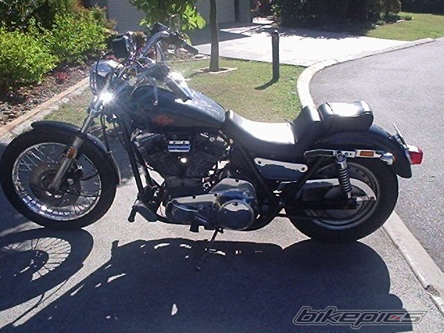 Photo 1294307