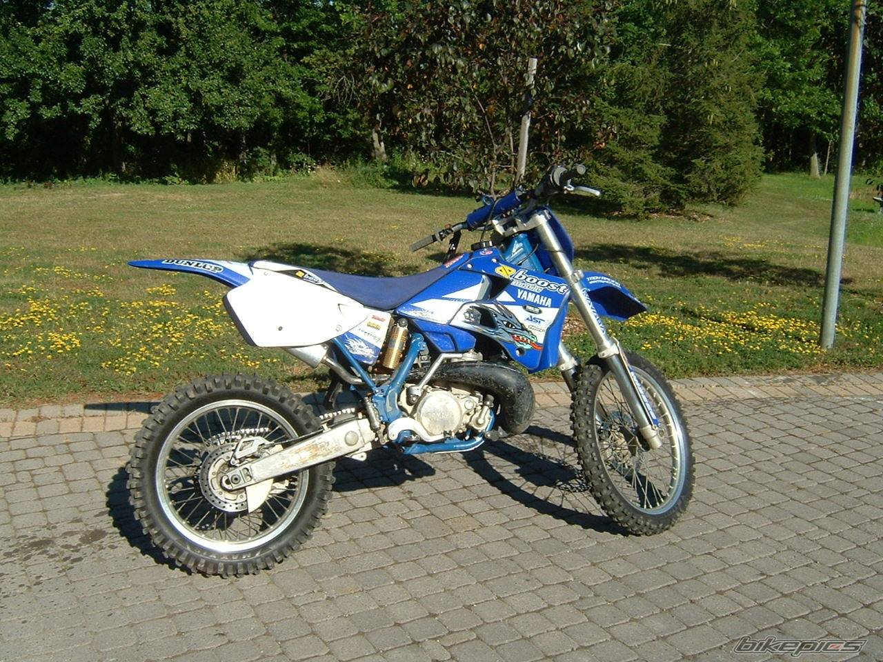 Photo 129433