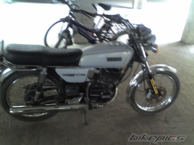 Photo 1294398
